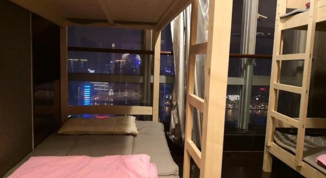 Best Cat Hostel