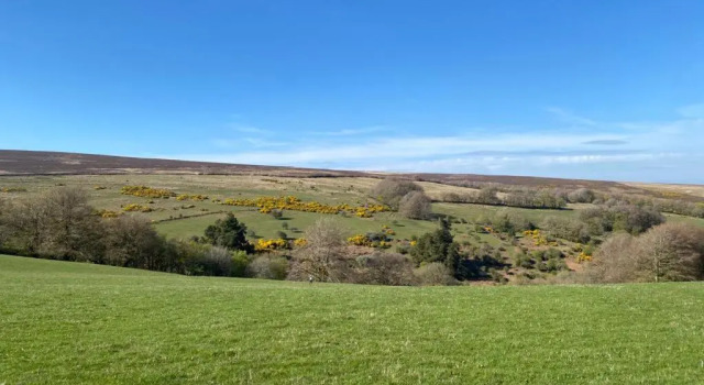 Коттедж c 1 комнатой Paradise Position on Exmoor National Park