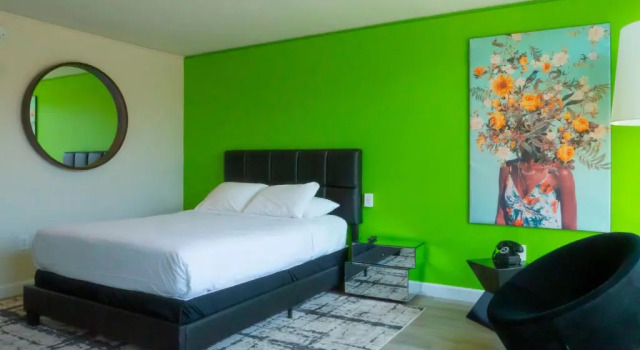 Двухместный номер Deluxe Park Plaza Lodge