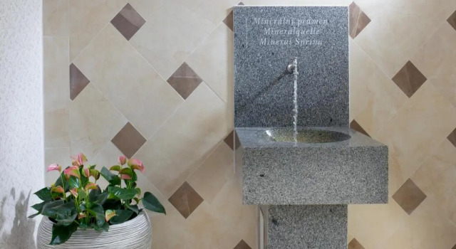 Номер Standard Badenia Hotel Praha