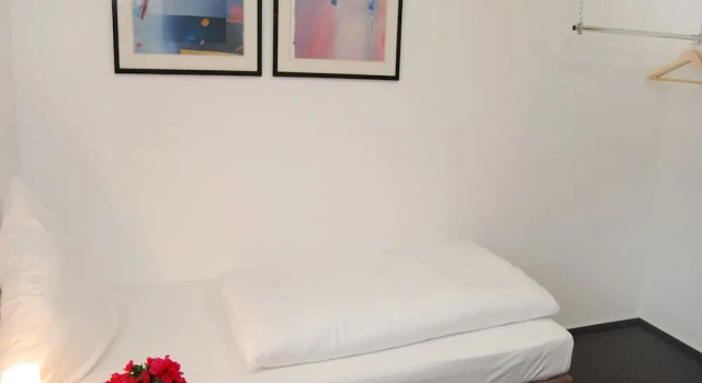 Одноместный номер Economy Hotel Rheinischer Hof