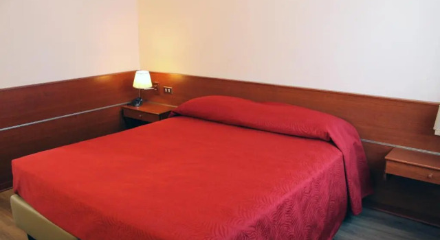 Двухместный номер Standard Venice Hotel Albatros