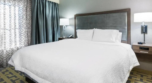 Двухместный номер Accessible Hampton Inn & Suites Tampa Airport Avion Park Westshore