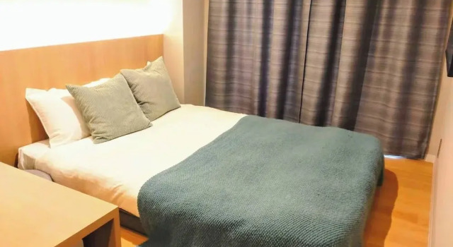 Двухместный номер Standard R Hotel Namba