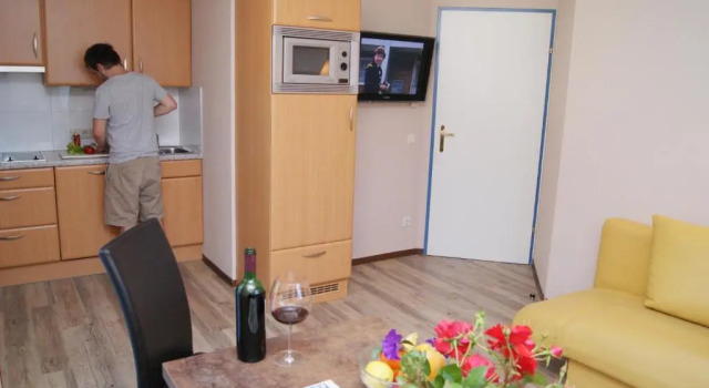 Апартаменты Superior с 2 комнатами с балконом Apartments Hartsleben