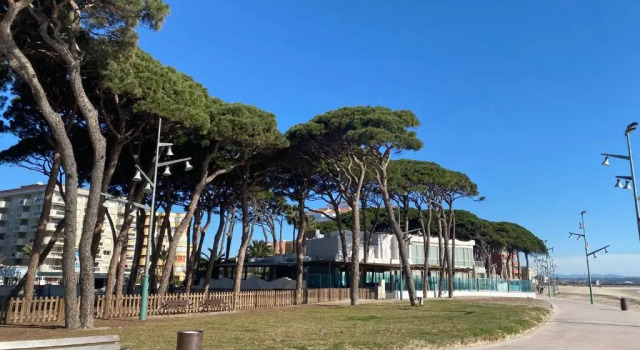 Студия Estudio II Loft, La Pineda, Salou, playa, Port Aventura