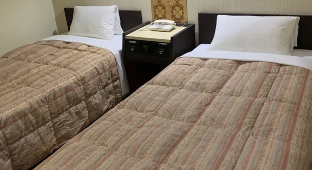 Двухместный номер Standard Kanazawa Frexhotel