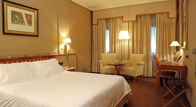 Номер Standard Hotel Palafox