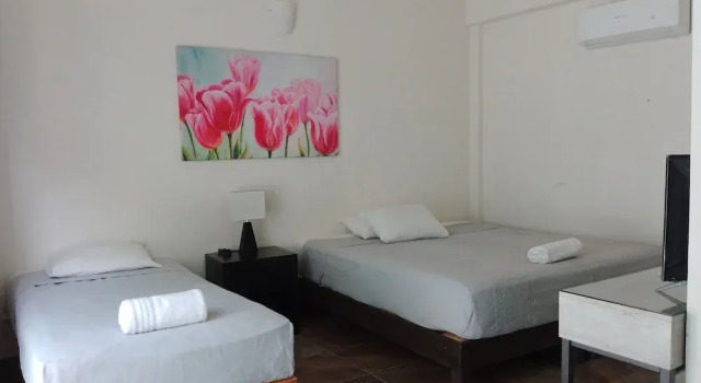 Номер Classic Hotel Suite Las Valkirias