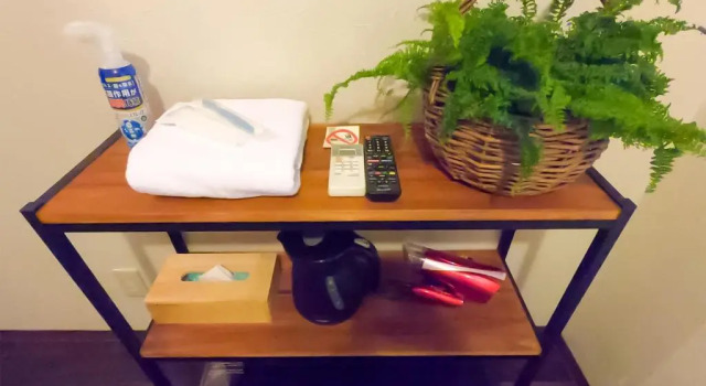 Двухместный номер Standard с видом на море Ishigakijima Hotel Olive