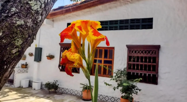 Hotel Refugio Bike, Buchen Sie Hotel Mariquita Tolima