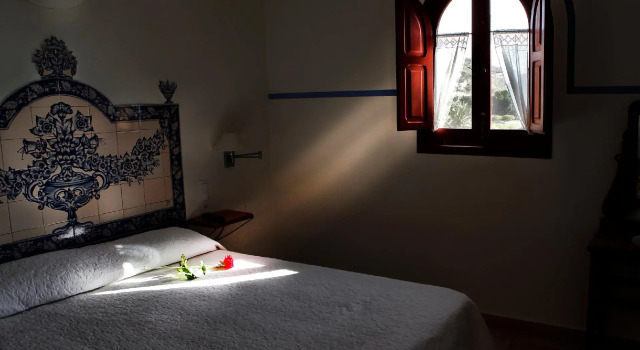Номер Standard Hotel Rural El Molino de Felipe