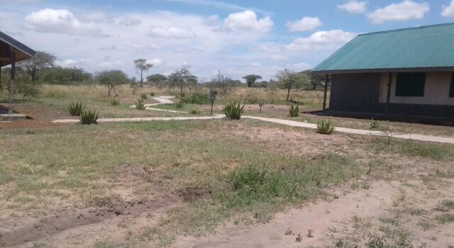 Zebra Kemang'ore Bush Tented Lodge, Book Hotel Seronera Tanzania