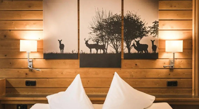 Двухместный номер Standard с видом на горы Hotel Klausnerhof - Hintertux