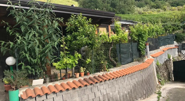 Serenity ‘s House
