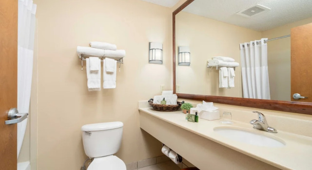 Номер Deluxe MCM Elegante Lodge & Suites Ruidoso