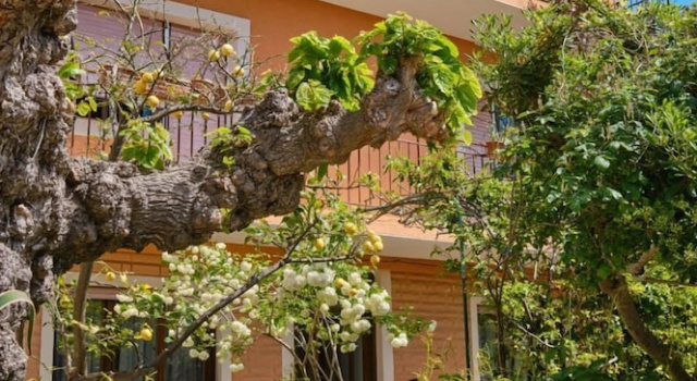 Apartment Giuseppe, Buchen Sie Ferienwohnung Hotels in Kvarner-Inseln mit Parkplatz, Parkplätze