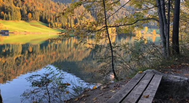 Коттедж Chalet Hinterstein