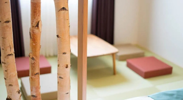 Номер Standard Hotel Lagent Plaza Hakodate Hokuto