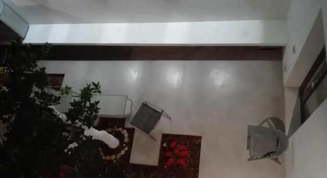 Одноместный номер Standard с балконом и с видом на сад PATIO 101 " Exclusive " B&B Boutique