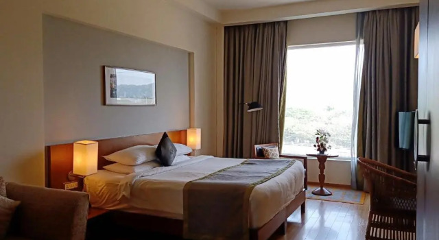 Двухместный номер Luxury The Park Navi Mumbai