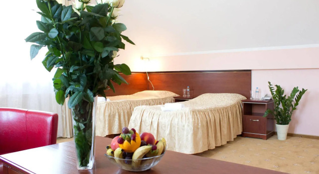 Hotel Skalite Spa & Wellness, Prenota Hotel Hotel a Silesia con piscina, Piscina