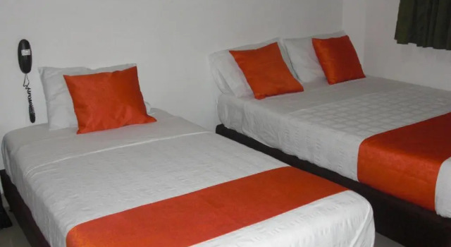 Номер Standard Hotel Aussie koala