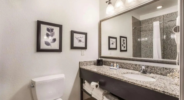 Люкс Comfort Inn & Suites Fairburn - Atlanta Southwest