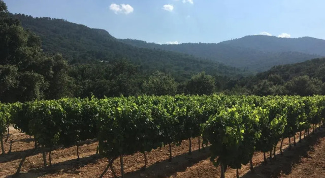La Bastide, Забронировать Отель План-де-ла-Тур Сен-Тропе залива