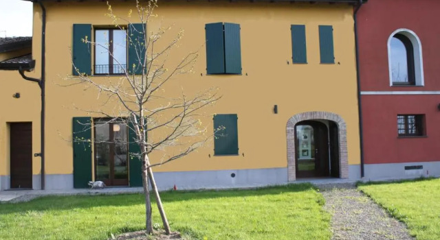 Номер Standard La casa dei gatti