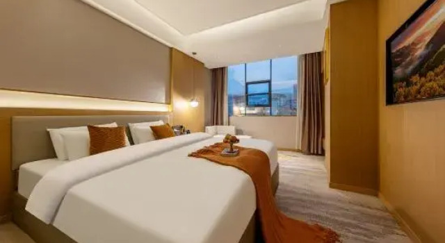Люкс Business Ba Sha Hotel