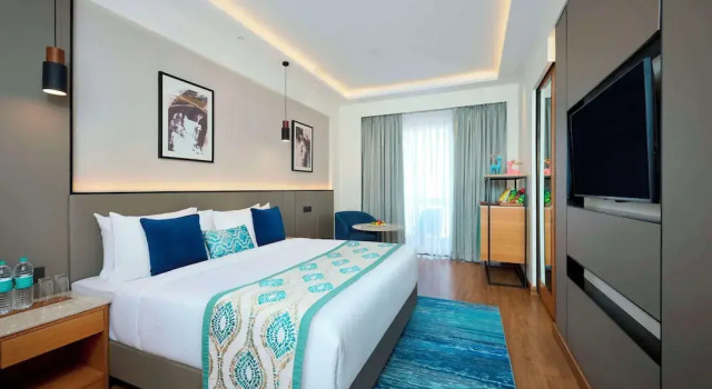 Номер Deluxe Iris Sarovar Portico