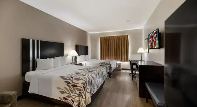 Четырёхместный номер Standard Red Roof Inn Pecos