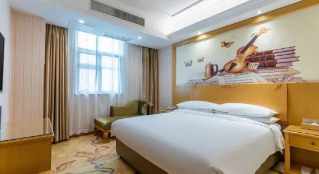 Deluxe Doppel Suite mit Straßenblick Vienna Hotel