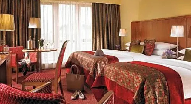 Одноместный номер Standard The Rose Hotel