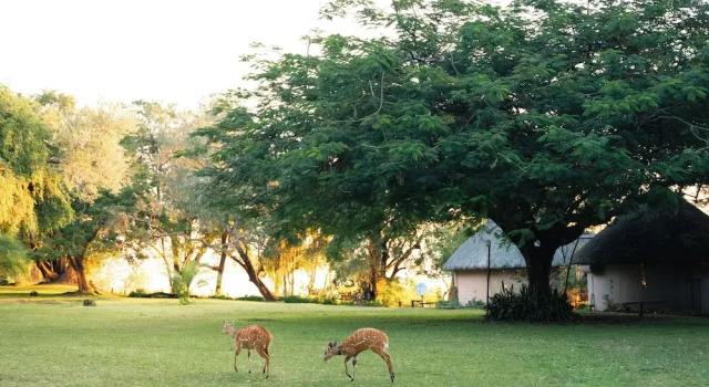 Standard Zimmer Chobe Safari Lodges