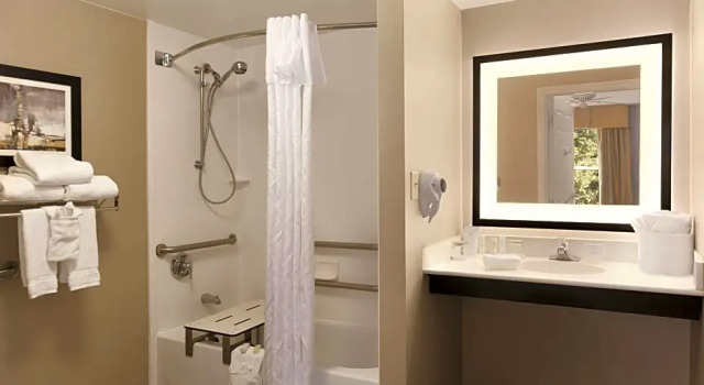 Люкс с балконом Homewood Suites by Hilton Atlanta-Alpharetta