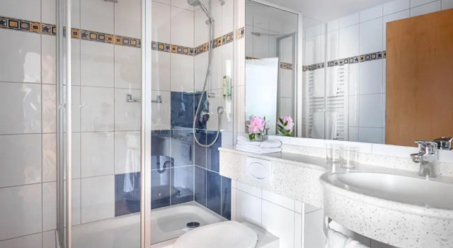 Двухместный номер Standard Ringhotel Krone