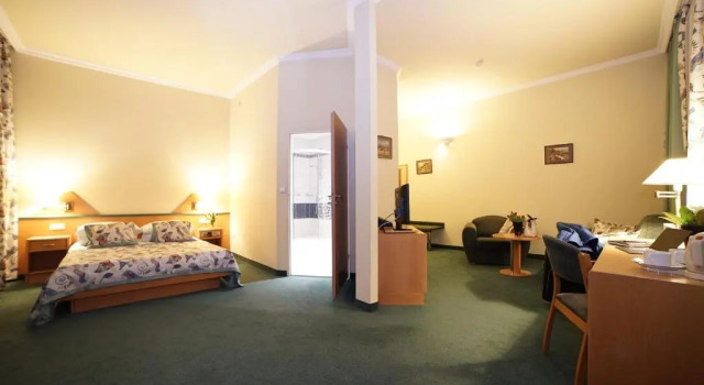 Двухместный номер Deluxe Hotel Polonia Racibórz