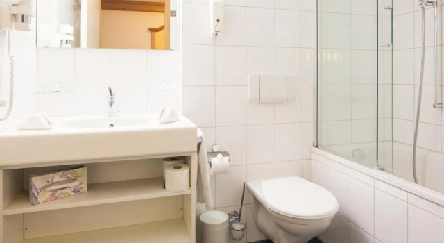 Двухместный номер Standard Hotel Grindelwalderhof