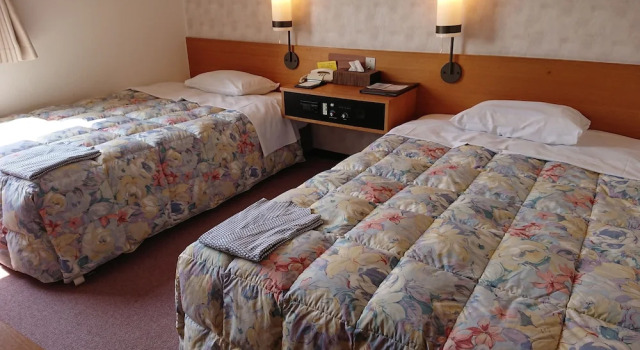Двухместный номер Deluxe Mihara Kokusai Hotel