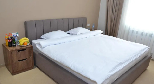 Полулюкс PANA HOTEL