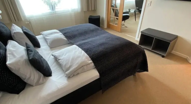 Двухместный люкс Hotel Skivehus