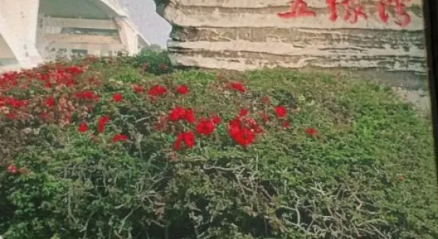 WuyuanDu Four Season Hotel, Book Hotel Xiamen Fujian