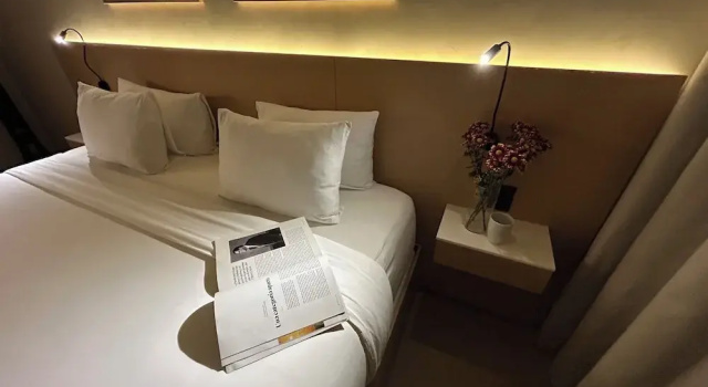 Двухместный номер Deluxe ANA Polanco