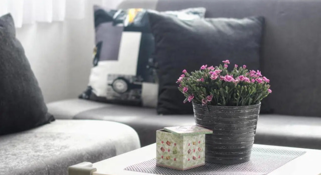Apartments Link, Забронировать Апартаменты/квартира Апартаменты Rovinj Riviera, Апартаменты/квартира