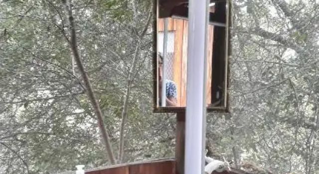 Økonomi- dobbelt værelse Mukuku Rest Camp