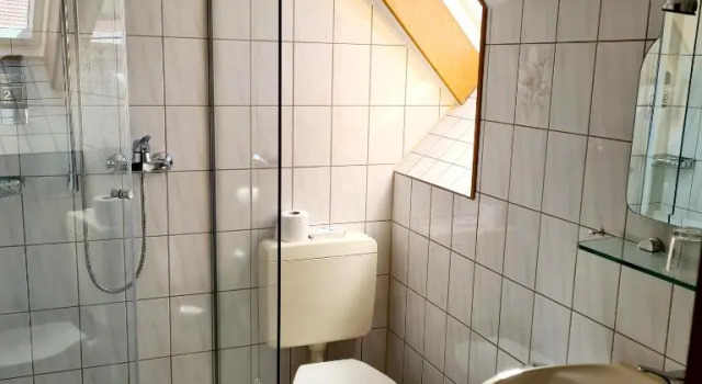 Одноместный номер Standard Hotel-Gasthof Rangau