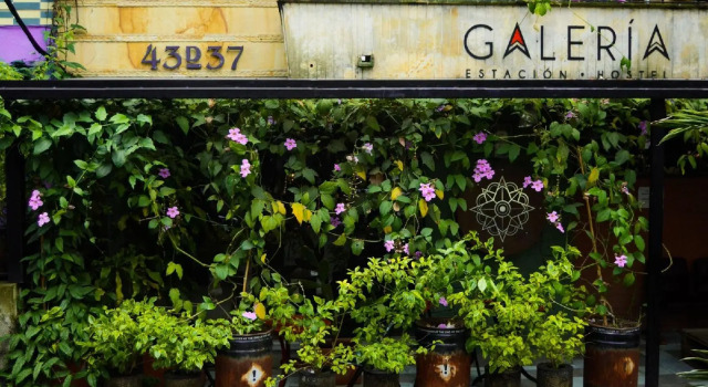 Hostal Casa Estación, Book Hostel Hotels in Antioquia with Breakfast, Breakfasts