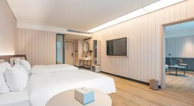 Двухместный люкс Hanting Hotel Wuhan Dongxihu Food Industrial Park